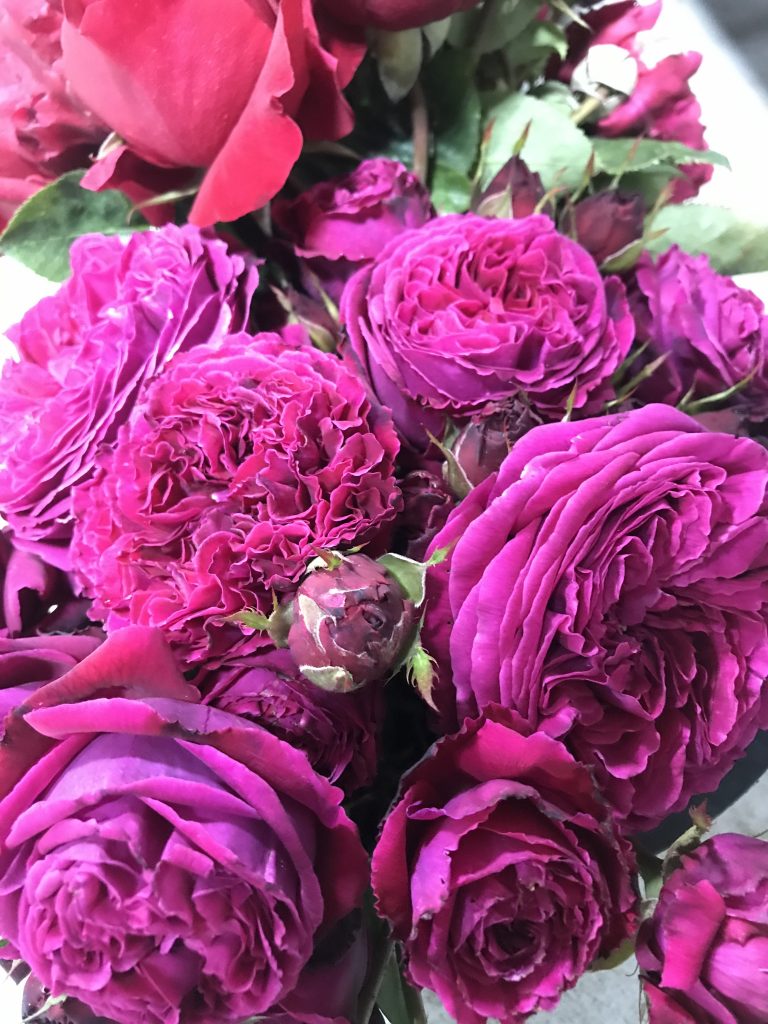 Roses – Santospirito Flowers & Wholesalers